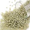 TOHO Round Seed Beads X-SEED-TR11-0369-1