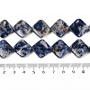 Natural Blue Spot Jasper Beads Strands G-L239-17-5