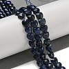 Natural Lapis Lazuli Beads Strands G-P544-E10-01-2