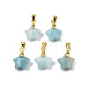 Natural Amazonite Charms G-N326-142-08-2