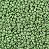 TOHO Round Seed Beads SEED-TR08-0560F-2