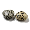 Natural Dalmatian Jasper Statues Ornaments G-P531-03M-2