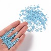 Opaque Glass Seed Beads SEED-S023-01B-03-4