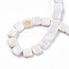 Natural Freshwater Shell Beads Strands SHEL-N026-209-4