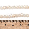 Natural Cultured Freshwater Pearl Beads Strands PEAR-L034-06C-5