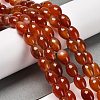 Natural Agate Beads Strands G-B079-E01-01-3