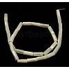 Natural White Shell Beads Strands X-SSHEL-D614C-2