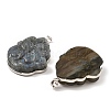 Natural Labradorite Pendants G-K338-34P-2