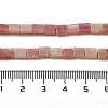 Natural Rhodonite Beads Strands G-F762-A18-01-5