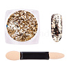 Flake Foil Nail Art Glitter Powder X-MRMJ-Q046-012S-1