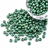 6/0 Czech Opaque Glass Seed Beads SEED-N004-003D-13-1