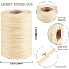 BENECREAT 1 Roll Raffia Paper Cords for DIY Jewelry Making OCOR-BC0001-54D-2