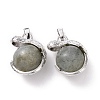 Natural Labradorite Pendants G-G884-D23-FF-2