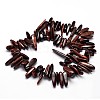 Natural Tiger Eye Chip Beads Strands X-G-E271-37-2