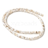 Natural Freshwater Shell Beads Strands SSHEL-C013-04A-2