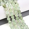 Natural Prehnite Beads Strands G-S345-8mm-28-2