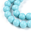 Synthetic Turquoise Beads Strands G-A255-A04-03B-3