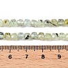 Natural Prehnite Beads Strands G-N342-124-5