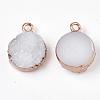 Electroplate Druzy Resin Pendants RESI-S366-02F-3