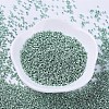 MIYUKI Delica Beads SEED-MY11-DB0415-2