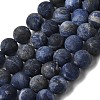 Natural Sodalite Beads Strands G-Q462-8mm-07-2