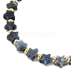 Natural Sodalite Beaded Necklaces NJEW-P311-04B-G-2