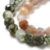 Natural Prehnite/Sunstone/Ruby Zoisite/Labradorite/Rhodonite Beads Strands G-G161-A03-02-4