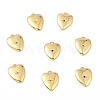 Brass Micro Pave Cubic Zirconia Charms ZIRC-I054-14G-1