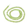 Natural Peridot Beads Strands G-I249-A13-2