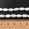 Natural Trochus Shell Beads Strands SHEL-M021-01-4