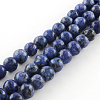 Dyed Natural Sesame Jasper Round Beads Strands G-R342-8mm-12-1