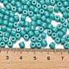 Baking Paint Pearlized Glass Seed Beads SEED-C001-04A-06-4