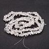 Natural Quartz Crystal Chips Beads Strands F019-2