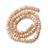 Natural Trochid Shell/Trochus Shell Beads Strands SSHEL-O001-24A-01-1