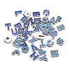 52Pcs 2 Colors Alloy Rhinestone Slide Charms ALRI-TA0001-14-11