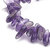 Natural Amethyst Chips Beaded Jewelry Set X-SJEW-JS01232-03-7