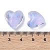 Handmade Lampwork Beads LAMP-F043-03K-3