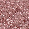 Ceylon Glass Seed Beads SEED-K009-02B-32-3