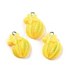 Opaque Resin Pendants RESI-S013-02I-1