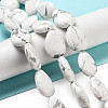 Natural Howlite Beads Strands G-P528-L16-01-2