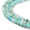 Natural Amazonite Beads Strands G-J400-D01-01-4