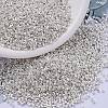 MIYUKI Delica Beads SEED-JP0008-DB0551-1