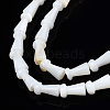 Natural Freshwater Shell Beads Strands SHEL-N026-199-3