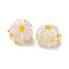 Handmade Lampwork Enamel Beads LAMP-Z020-05C-2