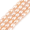 Natural Cultured Freshwater Pearl Beads Strands PEAR-P062-02A-1