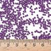 12/0 Grade A Glass Seed Beads X-SEED-Q009-FJX33-4