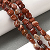 Natural Red Jasper Beads Strands G-B078-D05-01-2