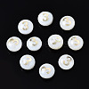 Natural Freshwater Shell Beads SHEL-N003-20-03-1