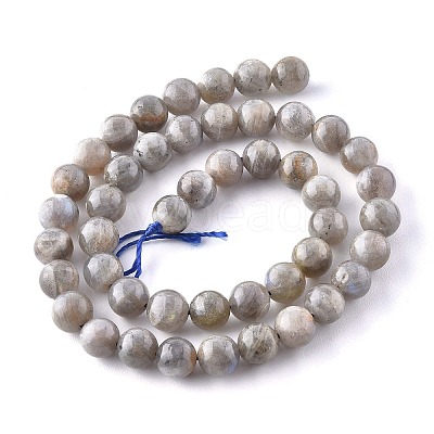 Natural Labradorite Beads Strands G-G212-8mm-23-1