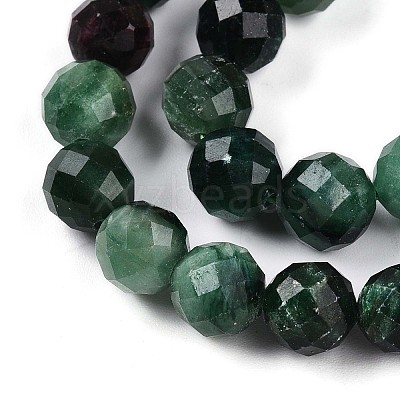 Natural Fuchsite Beads Strands G-T140-20B-1